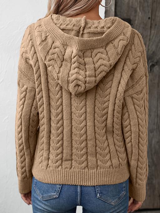 Pull Tricoté Vintage à Capuche