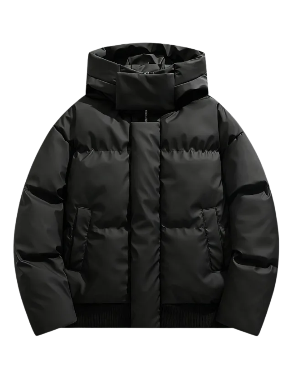 Veste Chaude à Silhouette Moderne